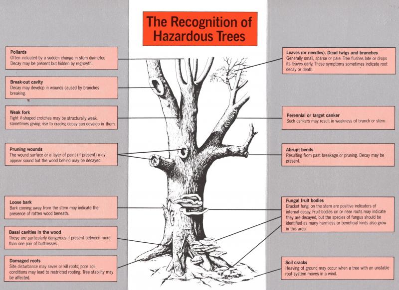 Services Corb Consulting